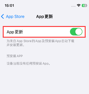 沅陵苹果15维修中心如何让iPhone15APP自动更新