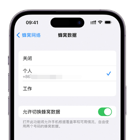 沅陵苹果维修服务分享如何在iPhone上使用双卡 